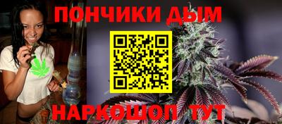 тгк Бийск